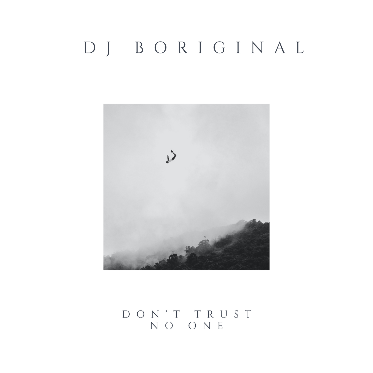 DJ BOriginal - Don't Trust No One (Single)